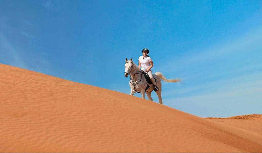 Horse Riding in Dubai | Desert Horse Riding Dubai Tours